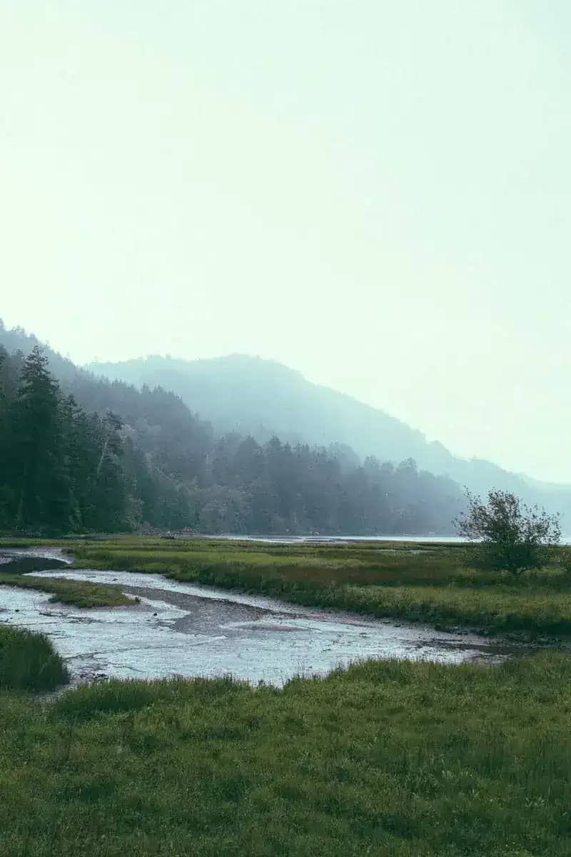 Encontrei um Marido Bilionário1