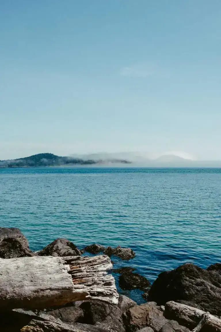 A Boa Moça da Máfia