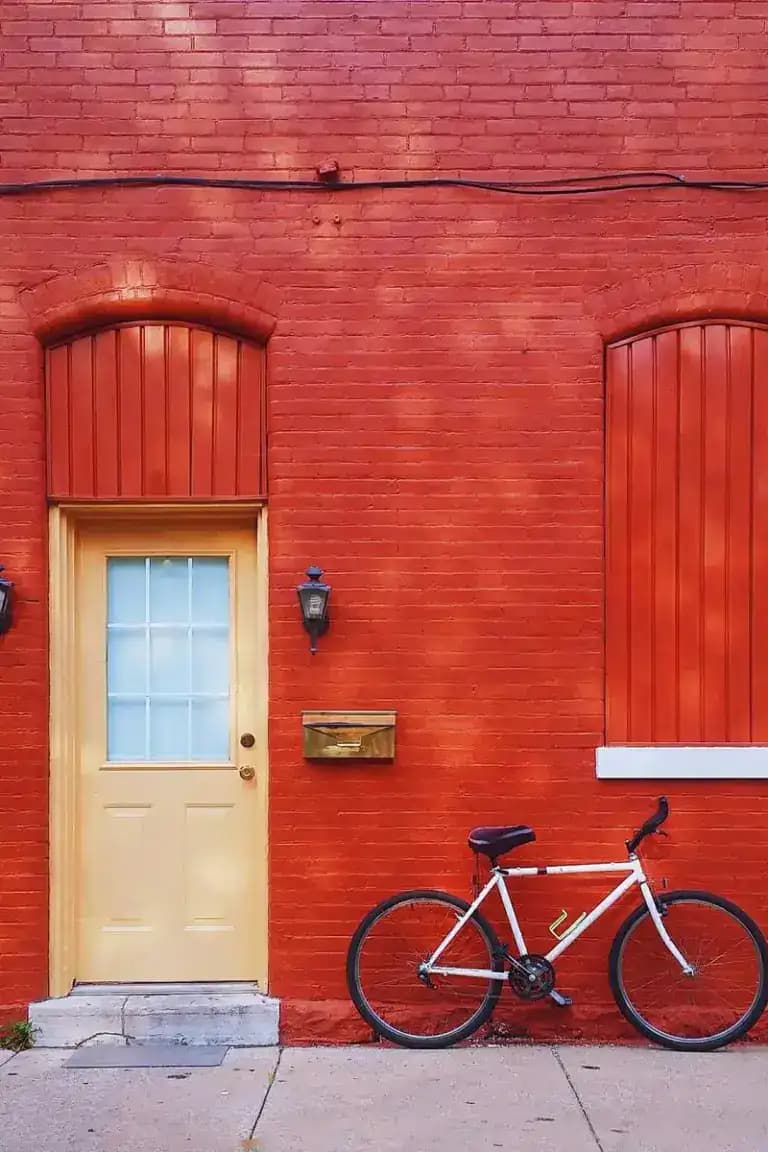 Two Alphas Are In Love With Me