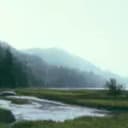 Encontrei um Marido Bilionário1