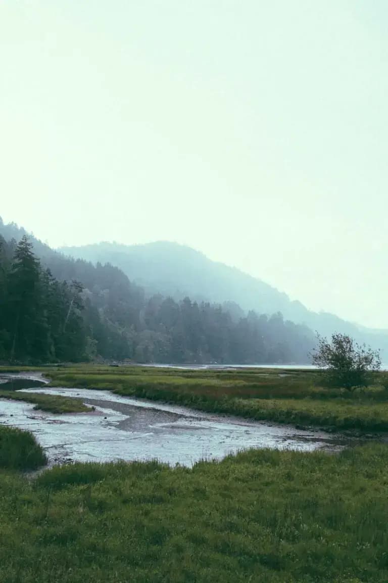 Encontrei um Marido Bilionário1